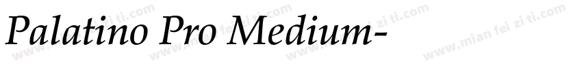 Palatino Pro Medium字体转换